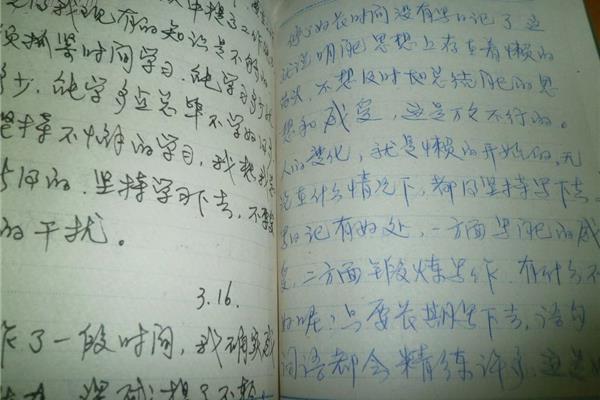 日记写什么