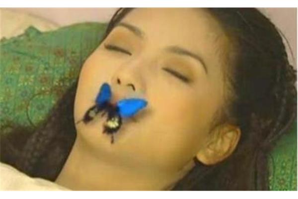 蝴蝶怎么形容