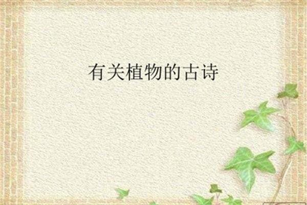 描写植物的现代诗