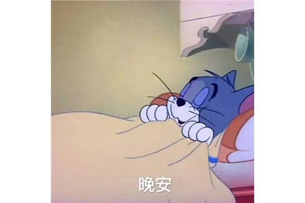 晚安的表情包