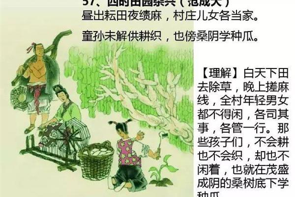 杂兴的意思