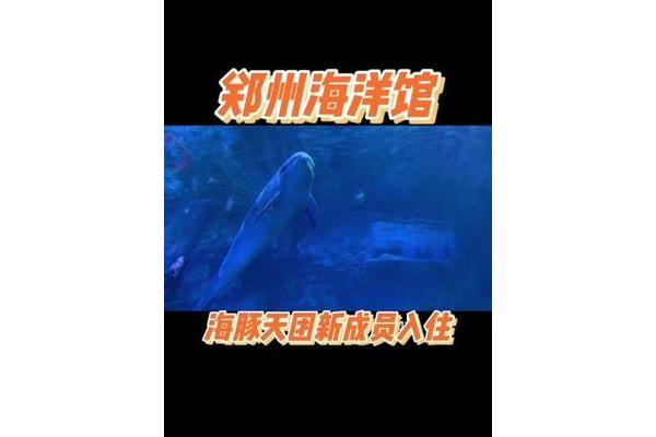 郑州海洋馆好玩吗