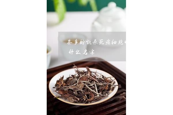 饭后多久可以喝茶