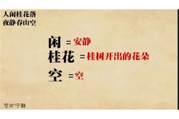 鸟鸣涧赏析