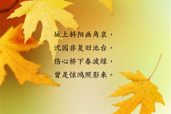 伤感的诗句
