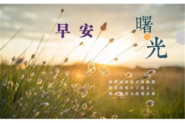 优美的短句