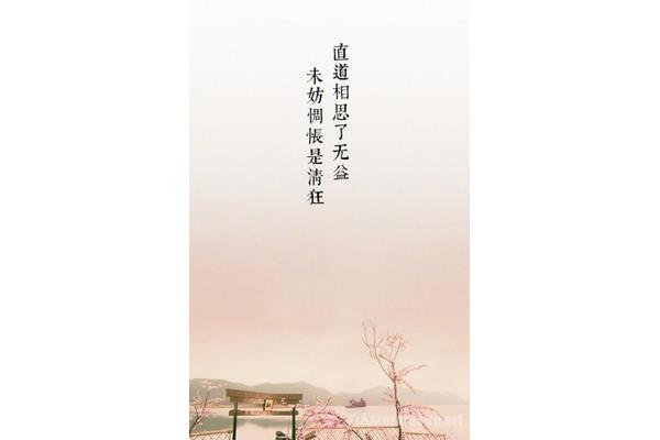 优美的短句