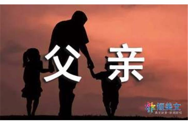 我的父亲母亲影评