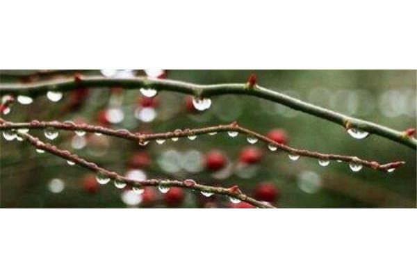 雨夜的心情说说