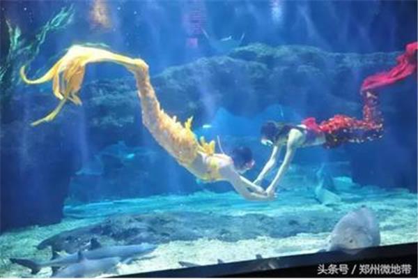 郑州海洋馆好玩吗