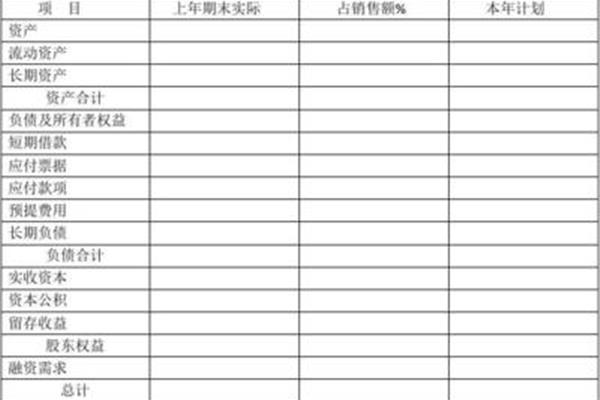融资需求怎么写