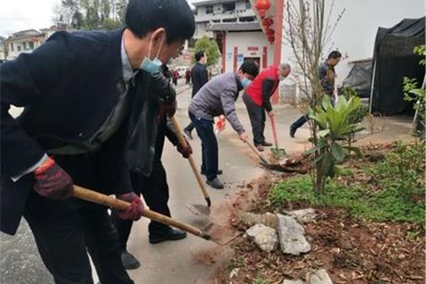 环境卫生整治
