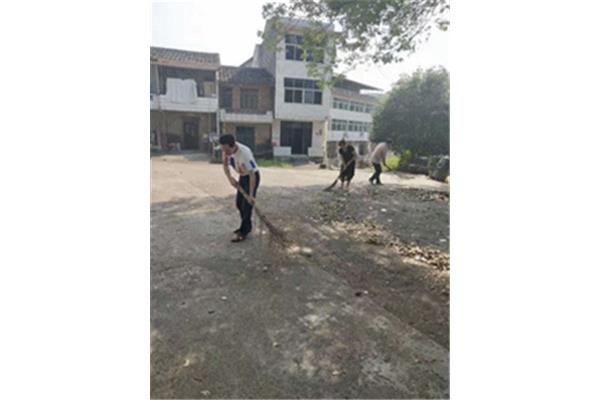 环境卫生整治
