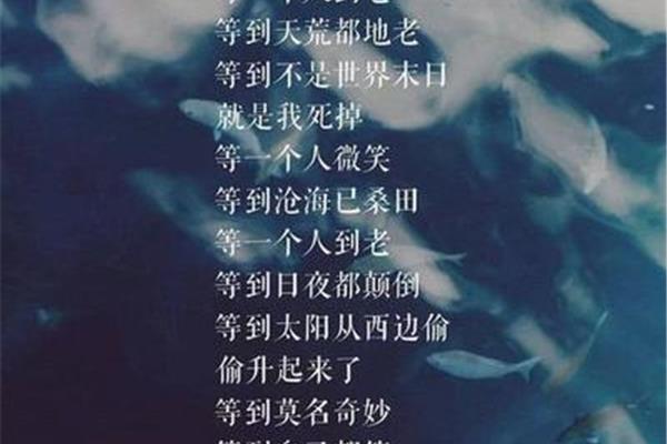 伤感的诗句
