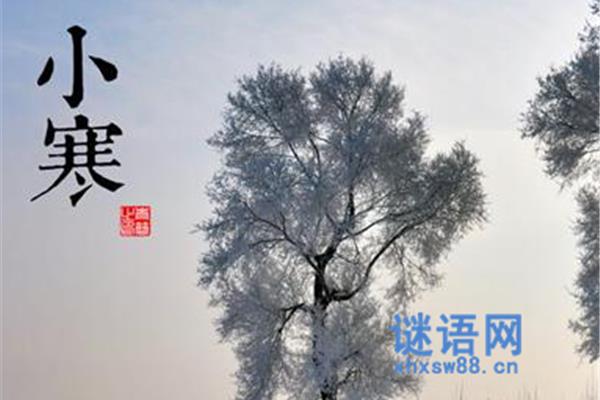 关于小寒的诗句