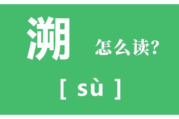 溯字怎么读