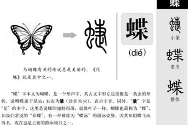 蝶怎么组词