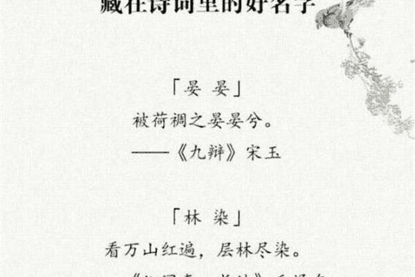 诗经楚辞起名大全