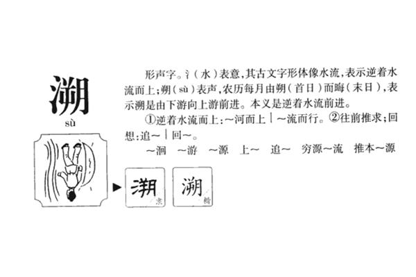溯字怎么读