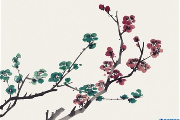 赞美杏花的诗句