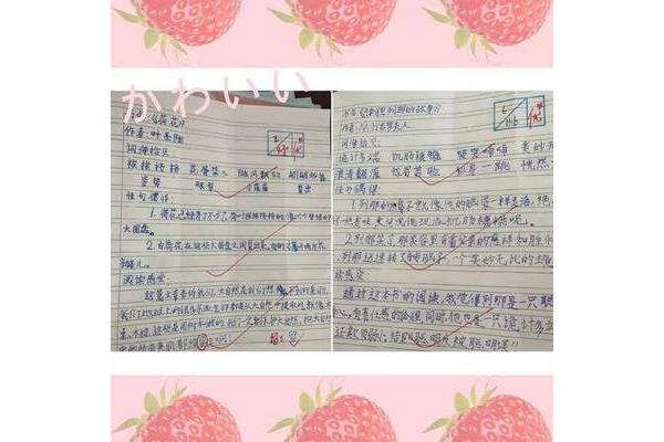 读书笔记三年级
