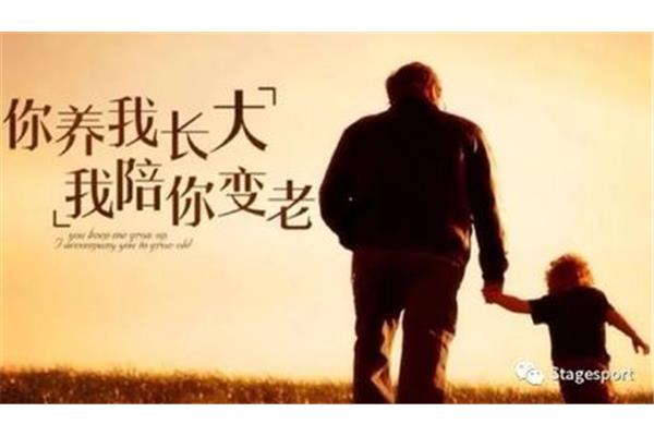 也许不完美