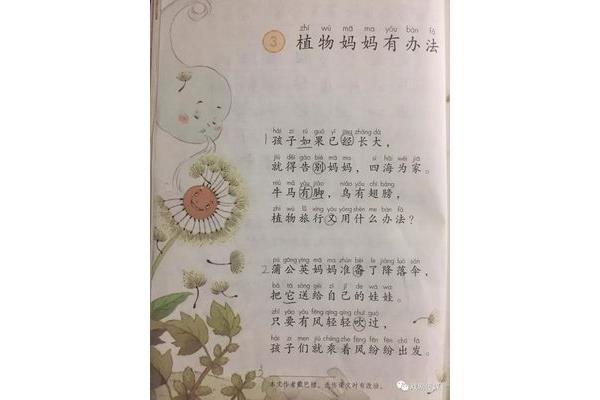 描写植物的现代诗