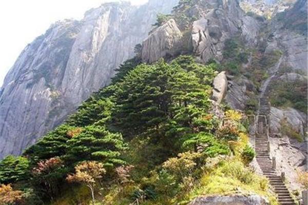 瘦身有氧运动