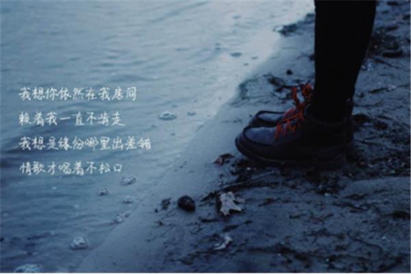 伤感的诗句