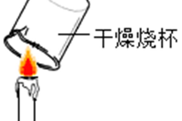 蜡烛燃烧实验