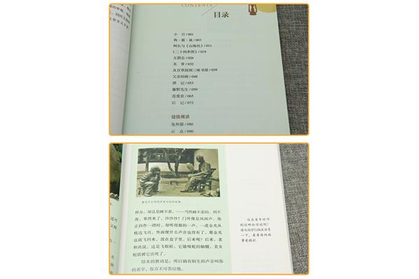 骆驼祥子读