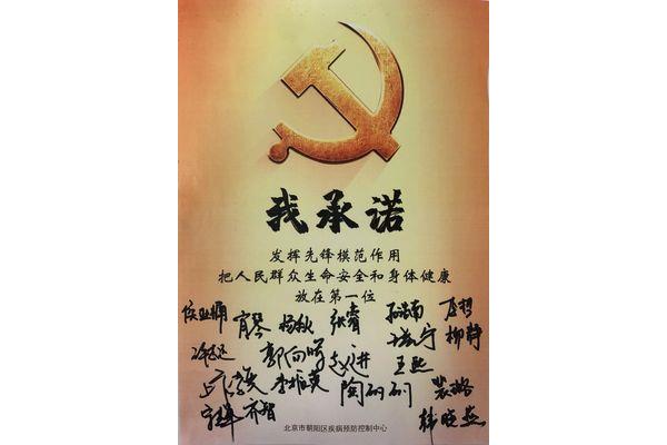 先锋是什么意思
