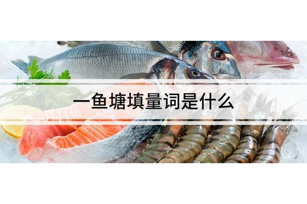 一什么鱼塘量词