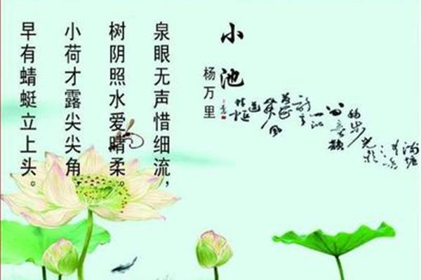 蜻蜓的拼音