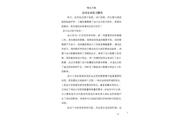 会计实习报告