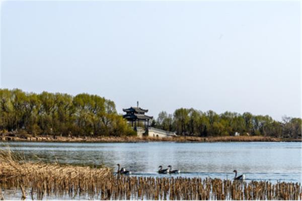 北湖湿地公园