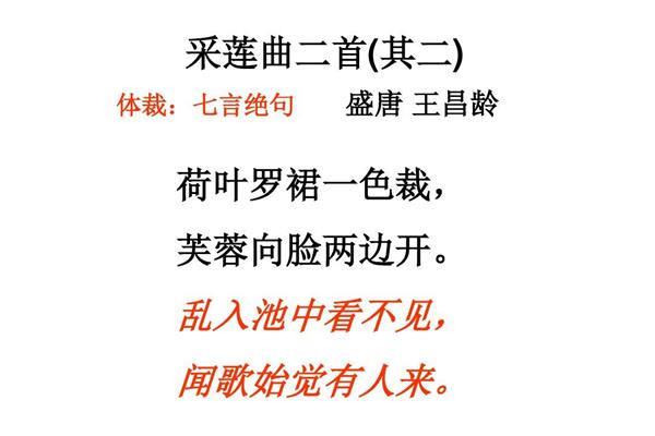 采莲曲古诗意思
