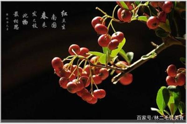 红豆的诗句