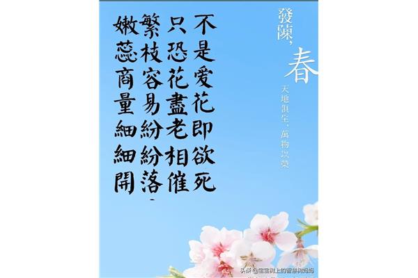 春天的古诗20首