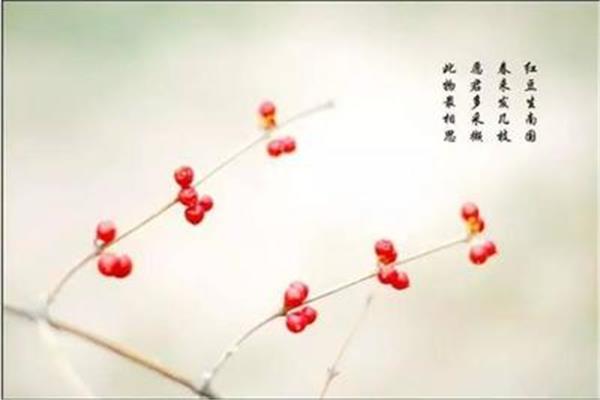 红豆的诗句