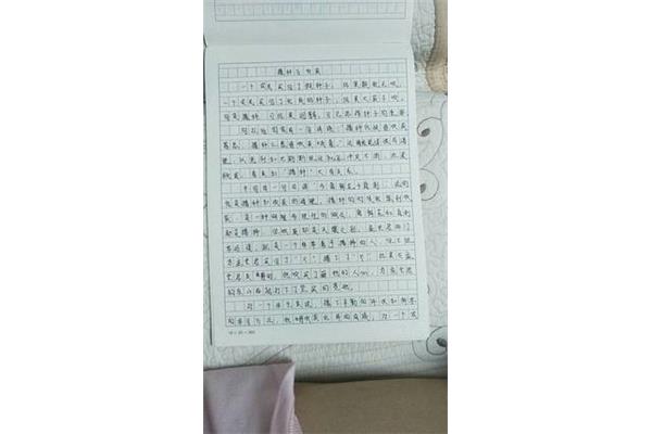关于诚信的题目
