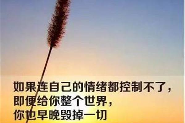 给最爱的人