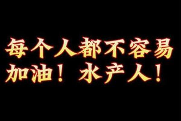 每个人都不容易
