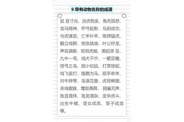 带有兔的成语