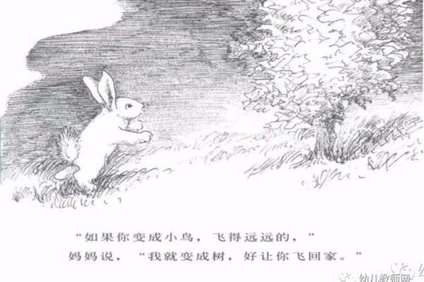 我变成了小鸟