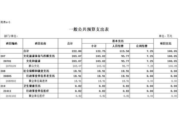 一般公共预算支出