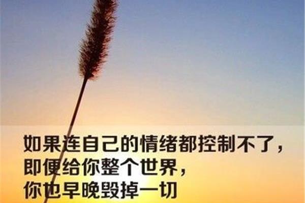 心情说说感悟生活