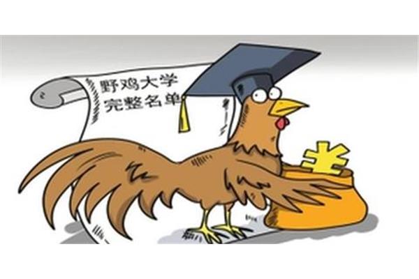 中国野鸡大学