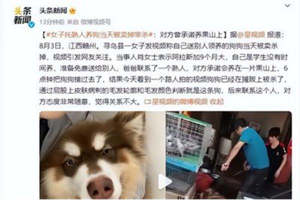 高校开学时间