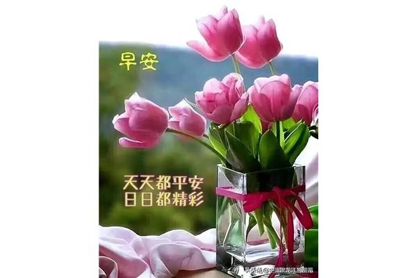 舒心的早安心语